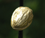 NUTS DANCING, DANCING NUTS