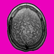 PINK THOUGHTS